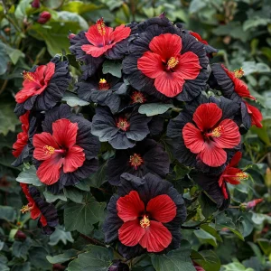 Гибискус Шиммеринг купить по цене от 720р. в интернет-магазине «Посадика» с доставкой почтой в в Скопине и по всей России – [изображение №1].